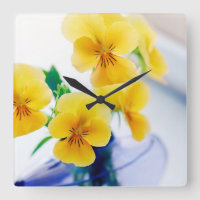 Gelbe Stiefmütterchen Lila Vase Pansy Blume Wellne