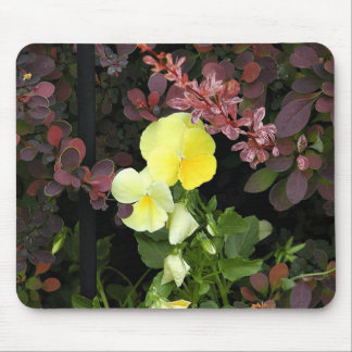 Gelbe Stiefmütterchen Mousepad