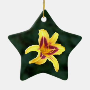 Gelbe Taglilie Blume mit Rot, Hemerocallis: Keramikornament