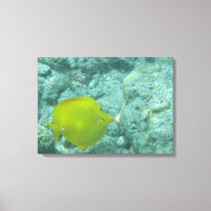 Gelbe tropische Leinwand