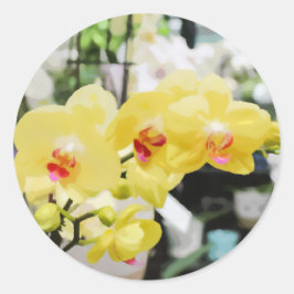 Gelbe tropische Orchid-Blume Runder Aufkleber