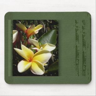 Gelbe tropische Plumeria-Blume Mousepad