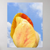 Gelbe Tulip-Blume auf blauem Himmel