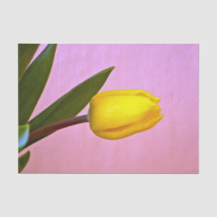 Gelbe Tulip, grüne Blätter, rosa Seidenpapier