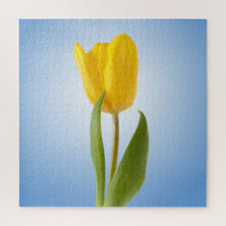Gelbe Tulip Minimal Floral Nature Foto Poster