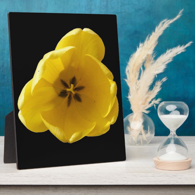 Gelbe Tulip Plaque Fotoplatte (Seite)
