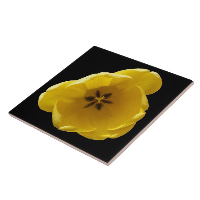 Gelbe Tulip Tile Fliese (Seite)