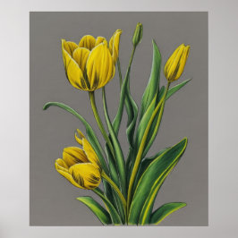 Gelbe Tulip Wasserfarben-Blume Poster