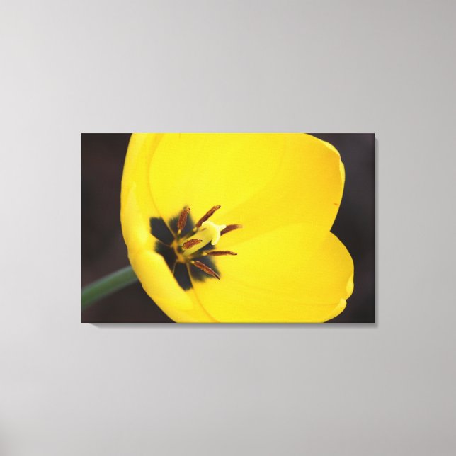 Gelbe Tulip-Wrapped Canvas Leinwanddruck (Vorderseite)