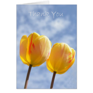 Gelbe Tulipen am Himmel