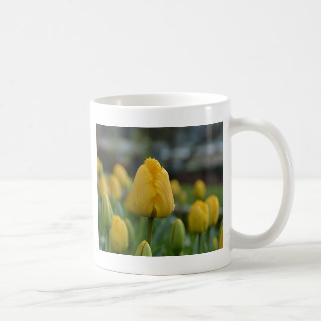 Gelbe Tulipen im Feld Kaffeetasse (Rechts)