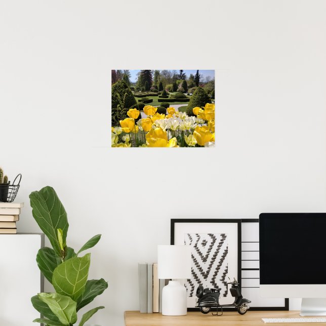Gelbe Tulips aus Arboretum Volcji Potok Slowenien Poster (Heimbüro)
