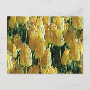 Gelbe Tulips Postkarte