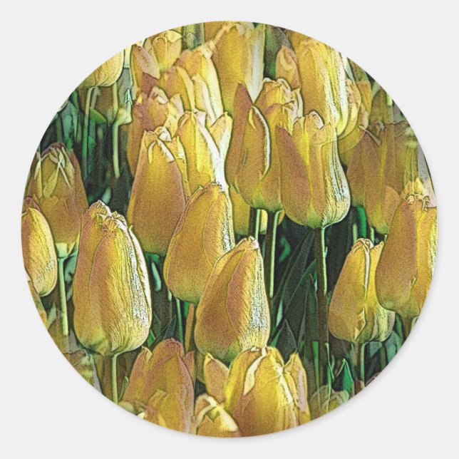 Gelbe Tulips Runder Aufkleber (Vorderseite)