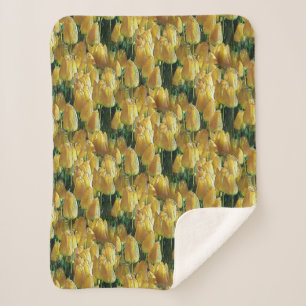 Gelbe Tulips Sherpadecke