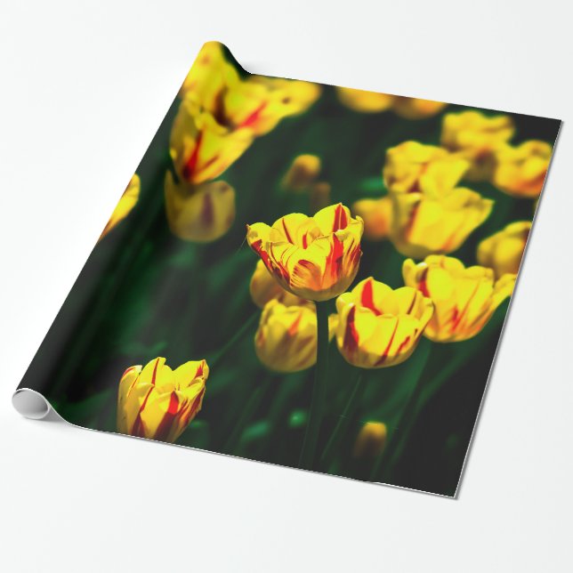 Gelbe Tulpe-Blume Geschenkpapier (Ungerollt)