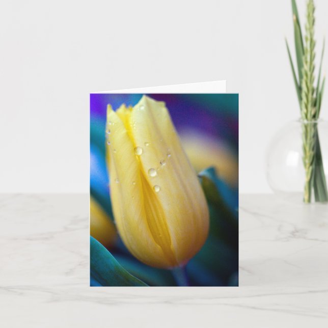 Gelbe Tulpe Blume Grußkarte Karte (Vorderseite)