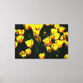 Gelbe Tulpe-Blume Leinwanddruck