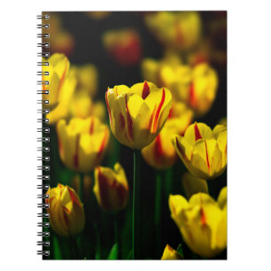 Gelbe Tulpe-Blume Notizblock