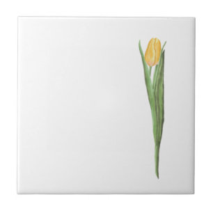 Gelbe Tulpe Blume Sommerfrühling Fliese