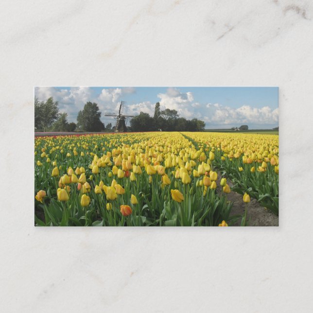 Gelbe Tulpe-Blumen-Feld-Windmühlen-Landschaft Visitenkarte (Vorderseite)