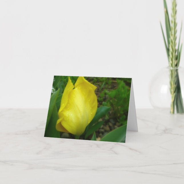 Gelbe Tulpe-im Frühjahr Regen-Anmerkungs-Karte Dankeskarte (Vorderseite)