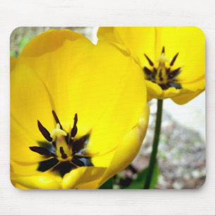 Gelbe Tulpe-Mäusematte Mousepad