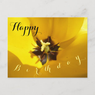 Gelbe Tulpe Nahaufnahme Happy Birthday Postkarte