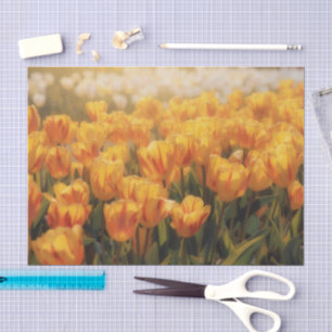 Gelbe Tulpen Blumen Florale Kunst Seidenpapier