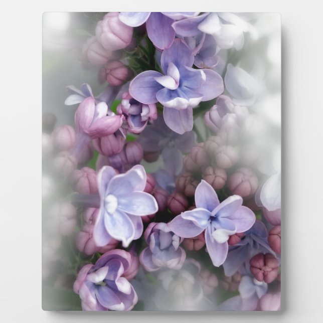 Gelbe Tulpen Fotoplatte (Vorderseite)