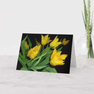 Gelbe Tulpen Karte