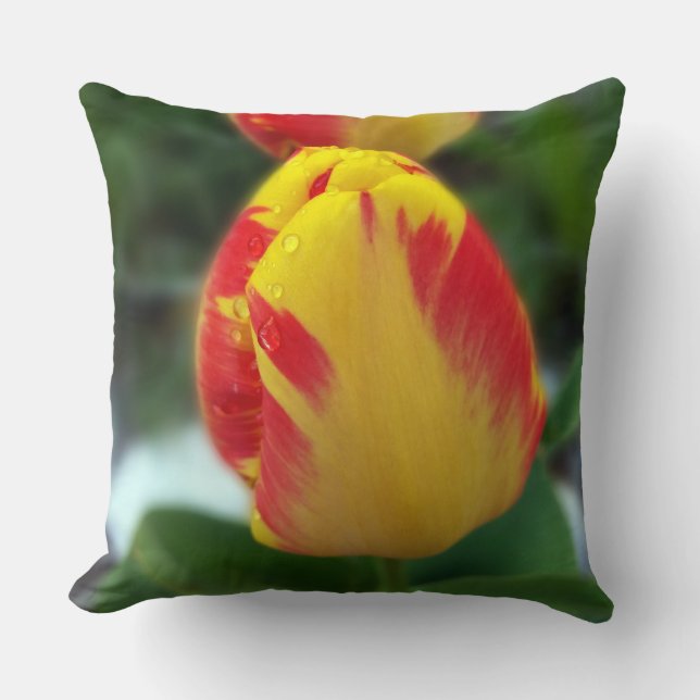 Gelbe Tulpen Kissen (Vorderseite)