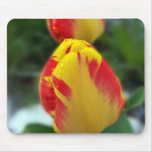 Gelbe Tulpen Mousepad