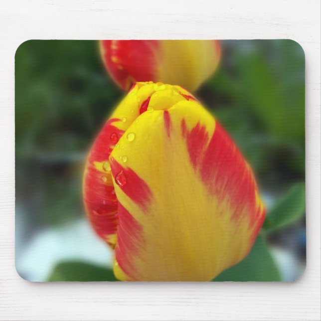 Gelbe Tulpen Mousepad (Vorne)