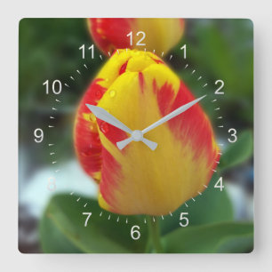 Gelbe Tulpen Quadratische Wanduhr