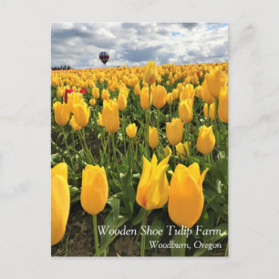 Gelbe Tulpenfeld mit Heißluftballon Postkarte