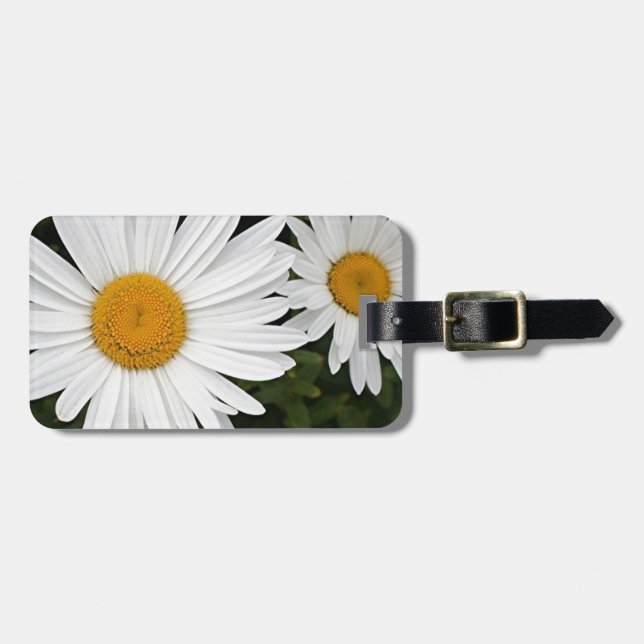 Gelbe u. weiße Gänseblümchen: Blumen in der Blüte Gepäckanhänger (Vorderseite horizontal)