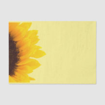 Gelbe und braune Sonnenblumen auf hellgelben