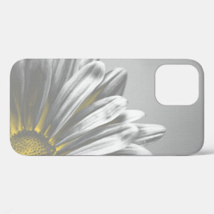 Gelbe und graue Flora Highlights title_seo2