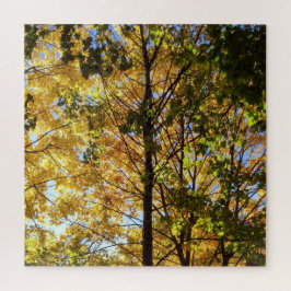 Gelbe und grüne Auflage