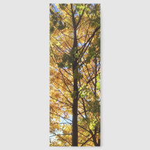 Gelbe und grüne Herbstfoliage