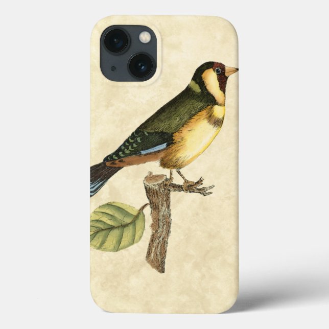 Gelbe und grüne Vögel auf einem kleinen Zweig Case-Mate iPhone Hülle (Rückseite)