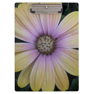Gelbe und Lila Blume Klemmbrett