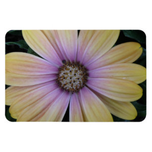 Gelbe und Lila Blume Magnet