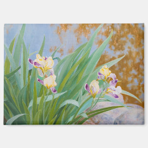 Gelbe und Lila Irische mit goldenem Licht Magnet