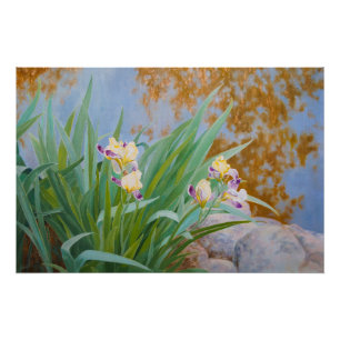 Gelbe und Lila Irische mit goldenem Licht Poster
