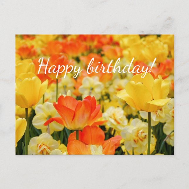 Gelbe und orange Blume Postkarte (Vorderseite)