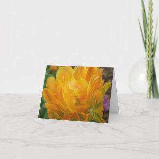 Gelbe und orange doppelte Tulpe-Blumenblätter Karte