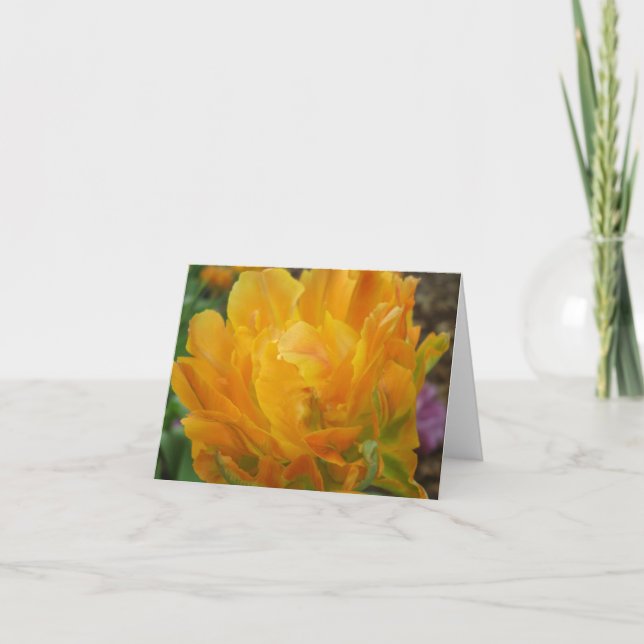 Gelbe und orange doppelte Tulpe-Blumenblätter Karte (Vorderseite)