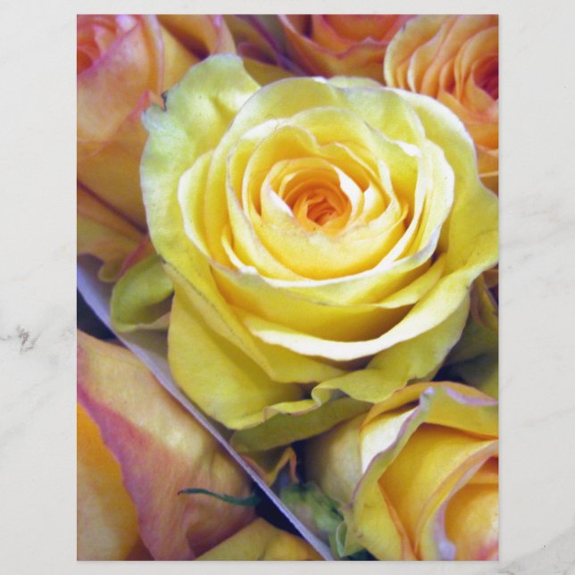 Gelbe und orange Rose (Vorderseite)